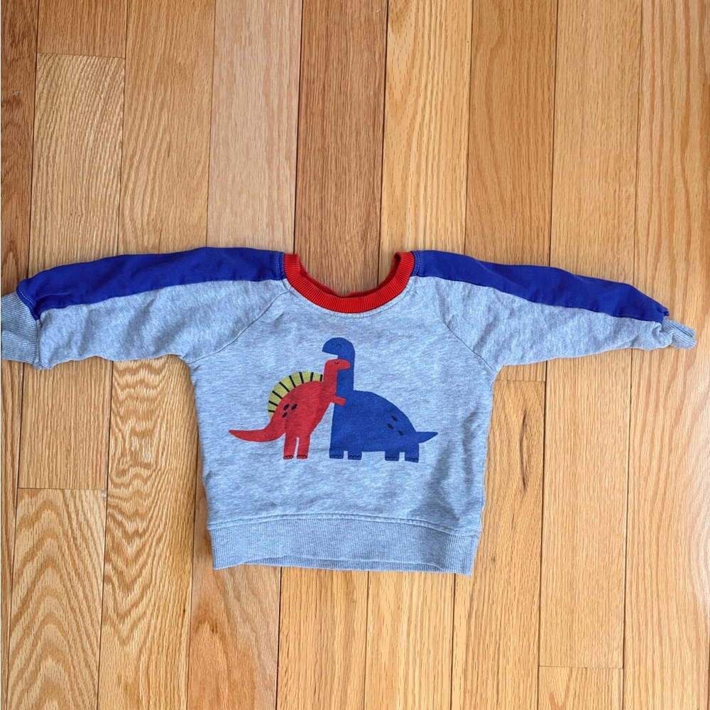 Hanna Andersson Gray Sweatshirt with Red and Blue Dinosaurs